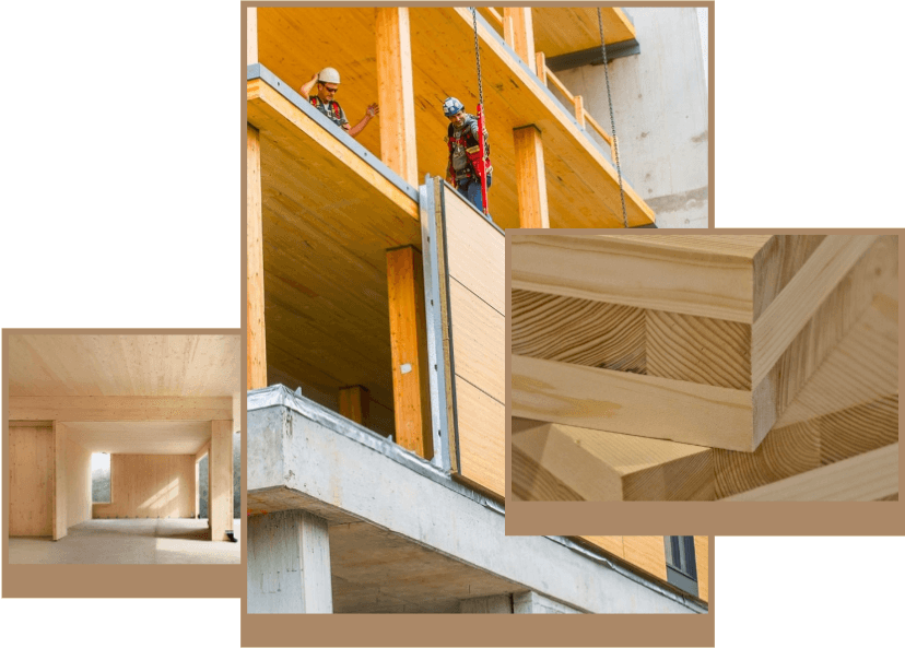 شرکت مبلمان خانگی Nantong Yueluo ، با مسئولیت محدود